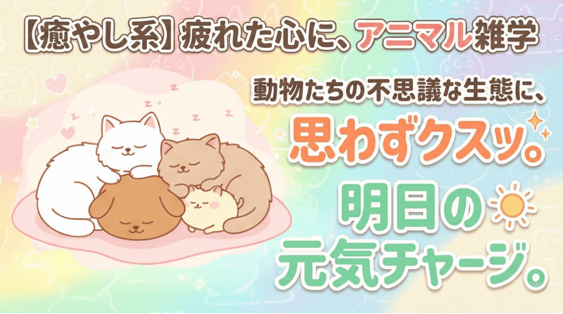 ���₵�G�w